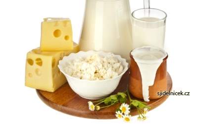 probiotika v mléčných výrobcích