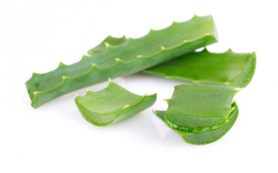 Aloe vera: Znáte její léčivé účinky a použití?