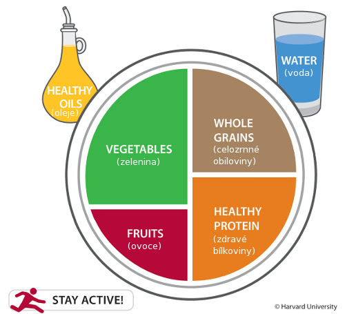 the healthy eating plate