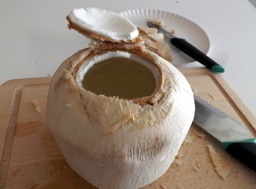 otevřený mladý kokos